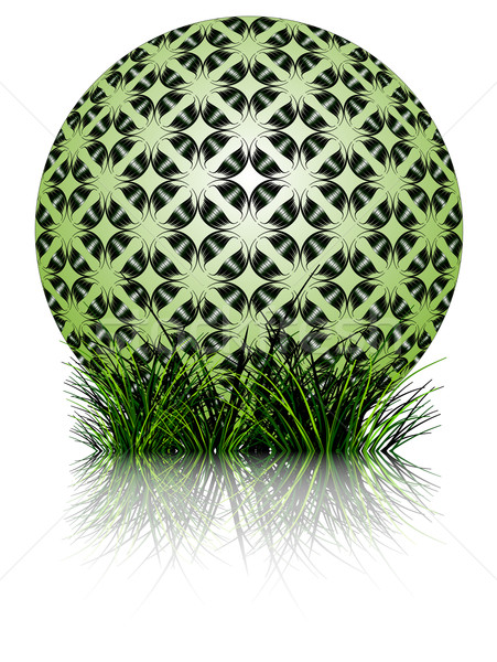 green bubble and grass reflected Stock photo © robertosch