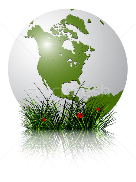 earth globe and grass reflected Stock photo © robertosch