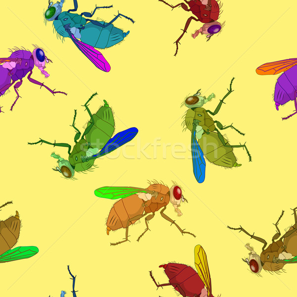 flies pattern Stock photo © robertosch