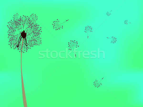 dandelion against green background Stock photo © robertosch
