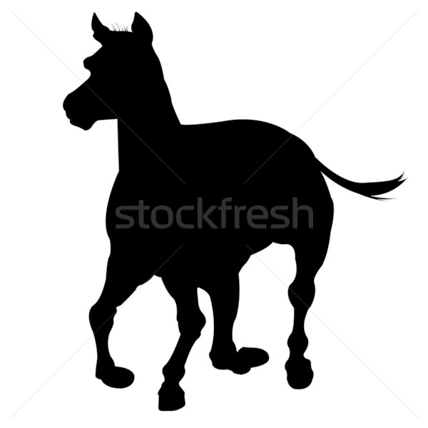 horse silhouette isolated on white Stock photo © robertosch
