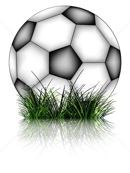 Foto d'archivio: Soccer · ball · erba · bianco · abstract · vettore · arte