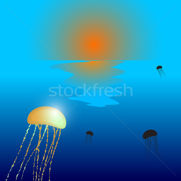 медуз закат аннотация вектора искусства иллюстрация Сток-фото © robertosch