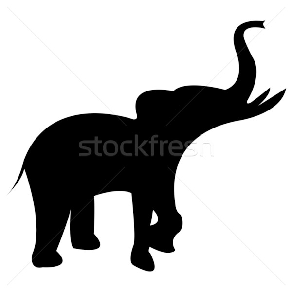 elephant black silhouette isolated on white Stock photo © robertosch
