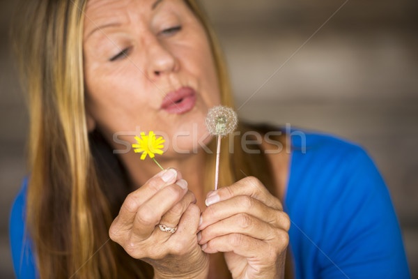Relaxed Woman blowing dandelion flower Stock photo © roboriginal