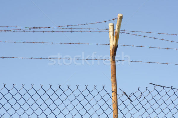 Damaged Barb wire fence Stock photo © roboriginal