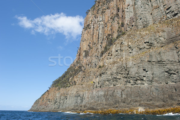 Cliff coast Bruny Island Tasmania wild ocean Stock photo © roboriginal