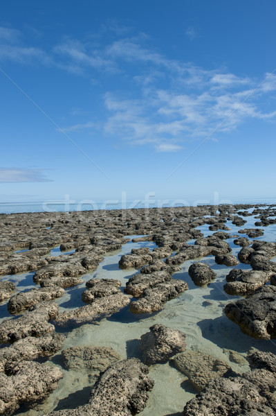 Stromalotites World Heritage Australia Stock photo © roboriginal