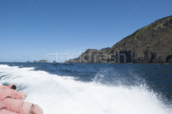 Sailing on tour boat along steep cliff coast Tasmania Stock photo © roboriginal