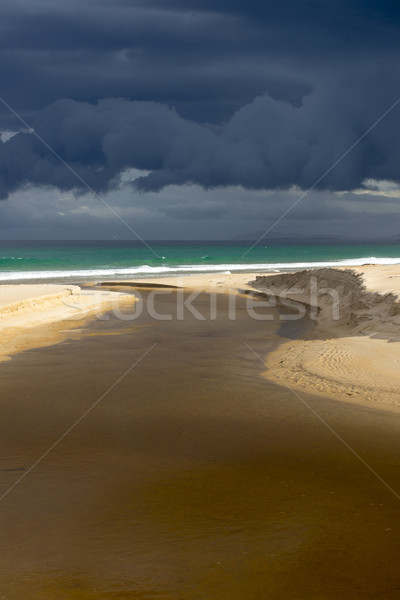 Wild weather storm clouds ocean coast Stock photo © roboriginal