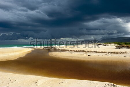 Wild weather storm cloud formation ocean beach Stock photo © roboriginal