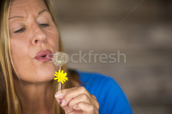 Femme pissenlit fleur espace de copie portrait [[stock_photo]] © roboriginal