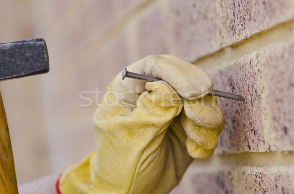 Closeup hammer nail hand renovation Stock photo © roboriginal