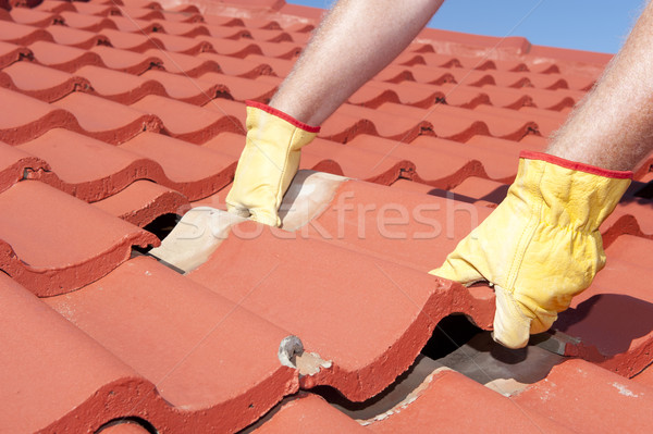 Pracownik budowlany Płytka dachu pracownika żółty rękawice Zdjęcia stock © roboriginal