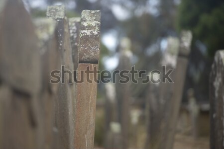 Isle of Deads Port Arthur Tasmania Stock photo © roboriginal