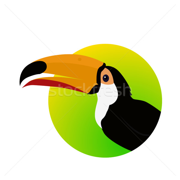 Toucan Bird Flat Design Vector Illustration Stock photo © robuart