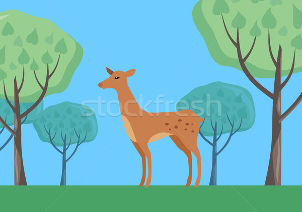 Fallow-deer in Habitat Flat Design Illustration  Stock photo © robuart