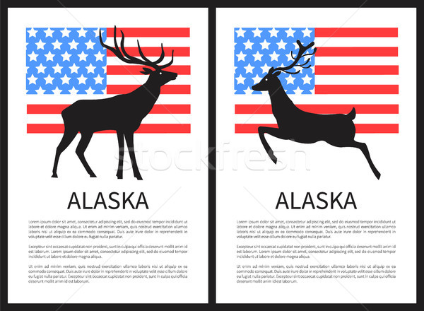 Alaska Deer and Text Sample on Vector Illustration Stock photo © robuart