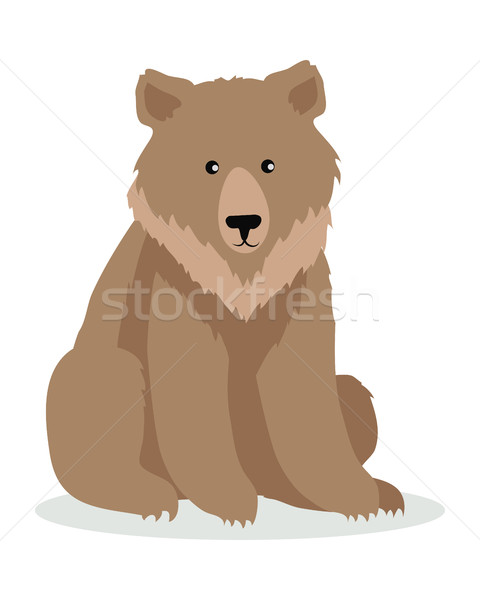 Brown Bear Cartoon illustration in Flat Design Stock photo © robuart
