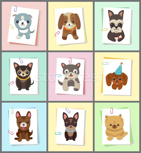 Puppies and Dogs Poster Set Vector Illustration Stock photo © robuart