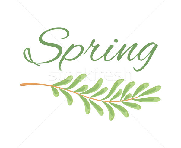 Spring and Branch with Tiny Oblong Leaves Poster Stock photo © robuart