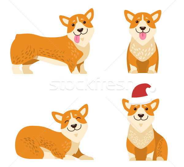 Dogs Collection of Icons, Vector Illustration Stock photo © robuart