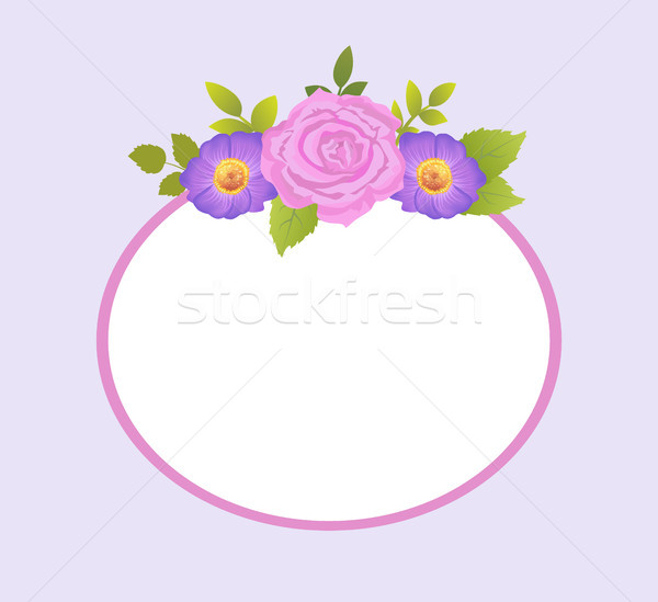 Rosa viola Daisy fiori photo frame saluto Foto d'archivio © robuart