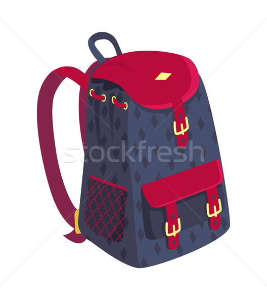 Side View on Fashionable Model of Kids Backpack Stock photo © robuart