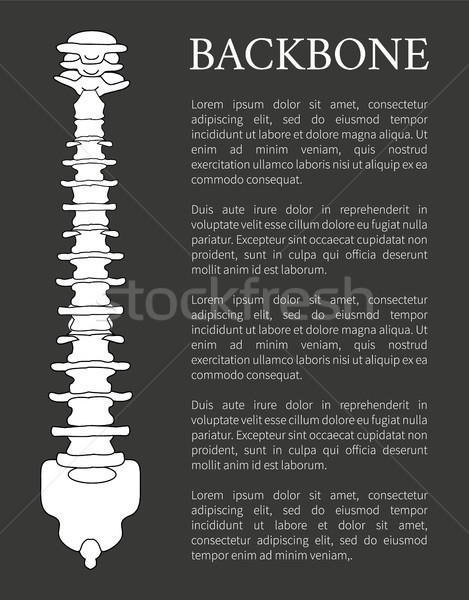 Hátgerinc poszter szöveg szerkeszthető minta emberi Stock fotó © robuart
