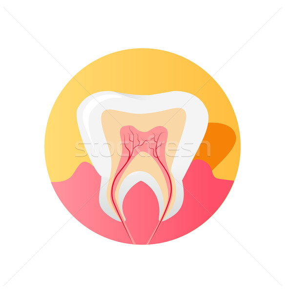 Ikona zębów cięcia odizolowany biały zdrowia Zdjęcia stock © robuart