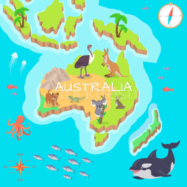 Australia Isometric Map with Flora and Fauna. Stock photo © robuart
