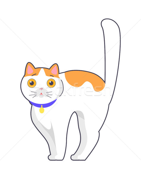 Cute Cat with Big Eyes Blue Collar on Neck Vector Stock photo © robuart