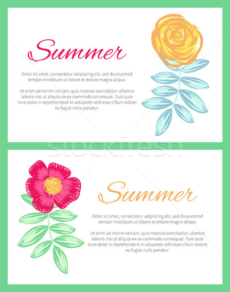 Stockfoto: Zomer · ingesteld · twee · posters · ingericht · planten