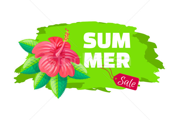 Stock foto: Sommer · Verkauf · Emblem · exotischen · rosa · Blume · Pinsel