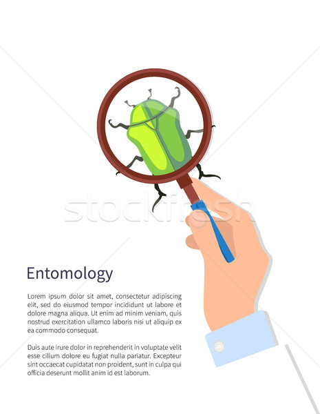Entomología anunciante texto muestra mano masculina Foto stock © robuart