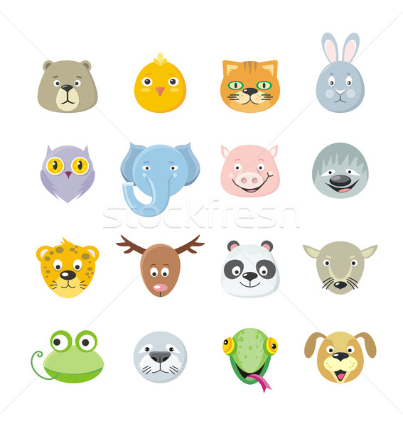Collection of Cute Face Animal Stock photo © robuart