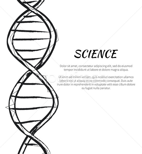 Nauki DNA kodu struktury ikona wektora Zdjęcia stock © robuart