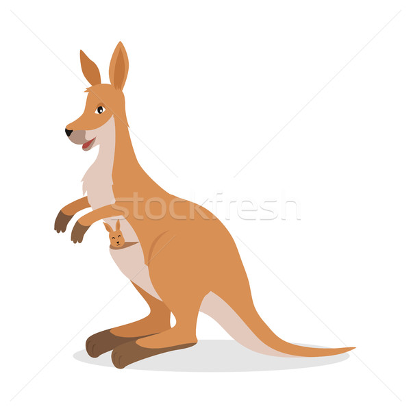 Kangaroo with Joey Baby in Pouch Isolated on White Stock photo © robuart