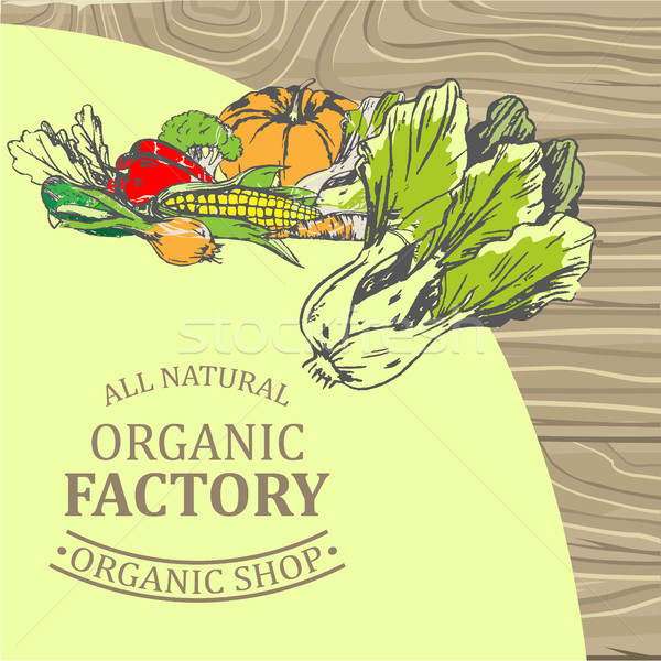 Organic Factory Shop with Only Natural Products Stock photo © robuart