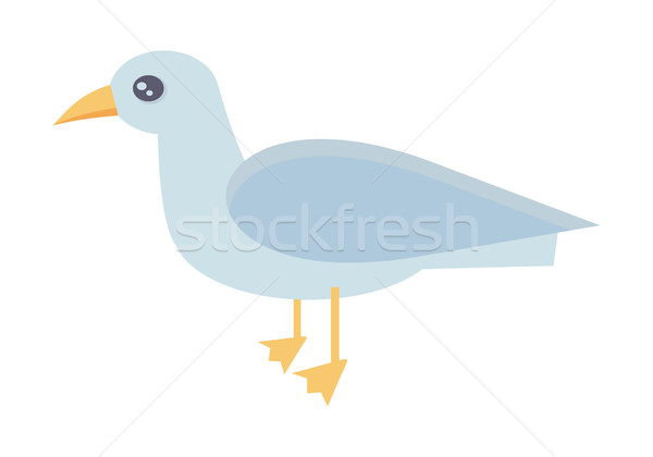 Gull Bird Vector Illustration in Flat Design.   Stock photo © robuart