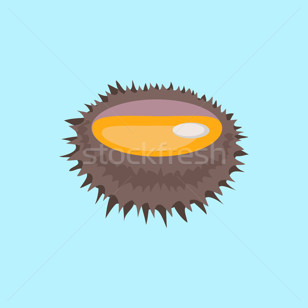 Sea Urchin Vector Flat Design Illustration Stock photo © robuart