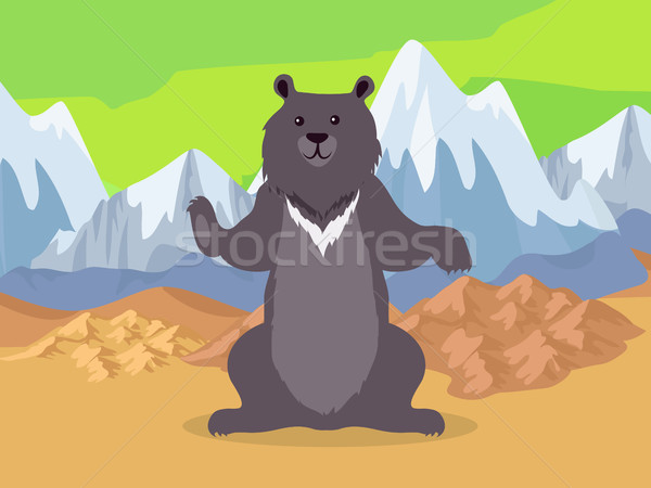 Brown Bear in Asia Mountains Icon. Vector Stock photo © robuart