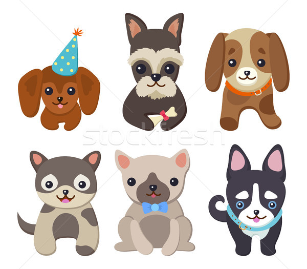 Adorable Padigree Fluffy Puppies Illustrations Stock photo © robuart
