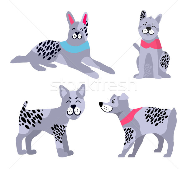 Adorable Dogs with Grey Fur and Black Spots Set Stock photo © robuart