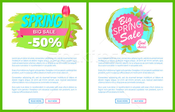 Spring Big Sale -50 Off Advertisement Label Tulip Stock photo © robuart