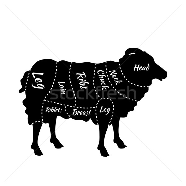 Carne de miel carne de oaie diagramă britanic macelar detaliat Imagine de stoc © robuart
