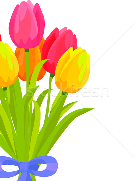 Bouquet of Colorful Tulips Bound with Blue Ribbon Stock photo © robuart