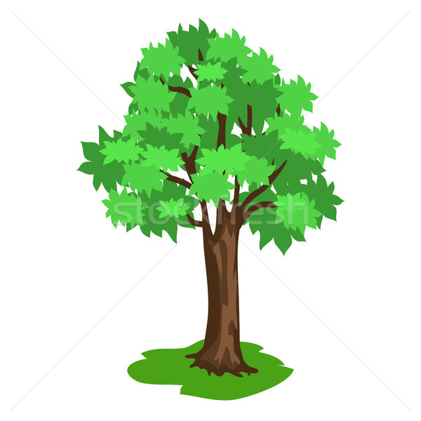 Groene boom bruin grond geïsoleerd witte stijl Stockfoto © robuart