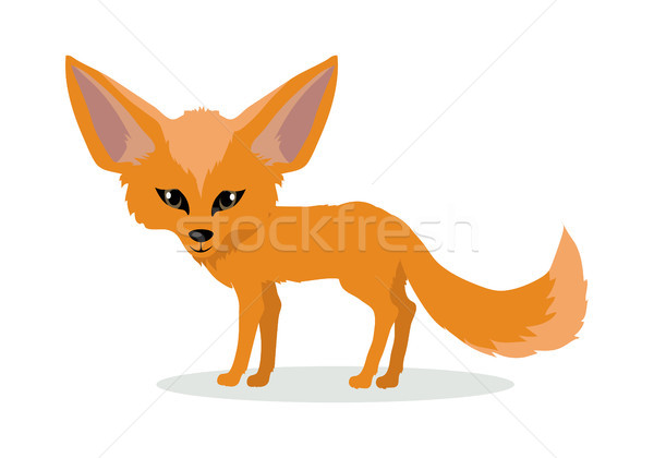 Fennec Fox Cartoon Icon in Flat Design Stock photo © robuart
