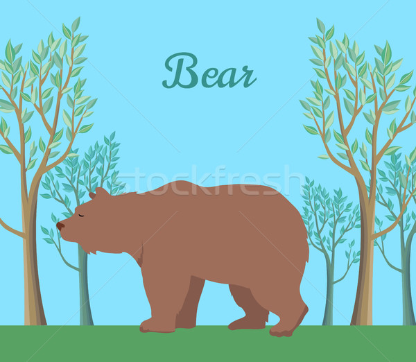 Funny Brown Bear Illustration Stock photo © robuart